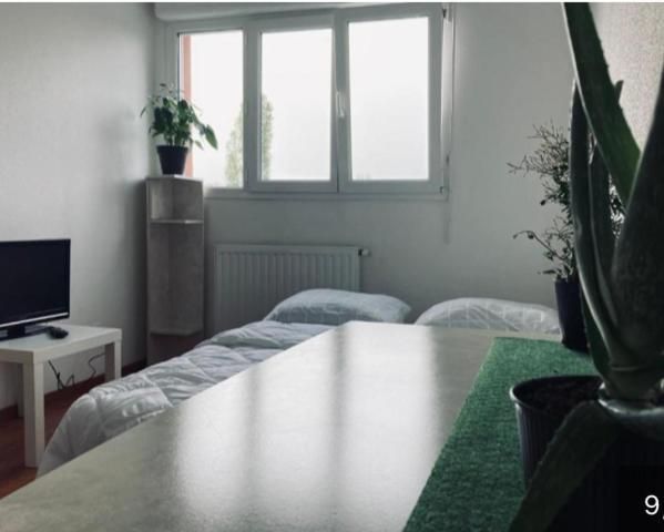 Zenith Strasbourg 2 Chambre Eckbolsheim Exteriér fotografie